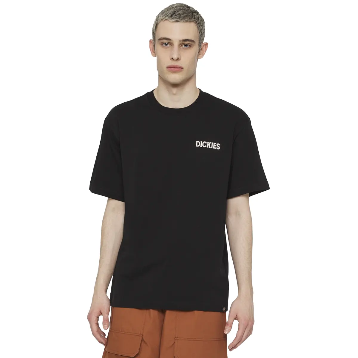 T-shirt Dickies Beach Tee SS