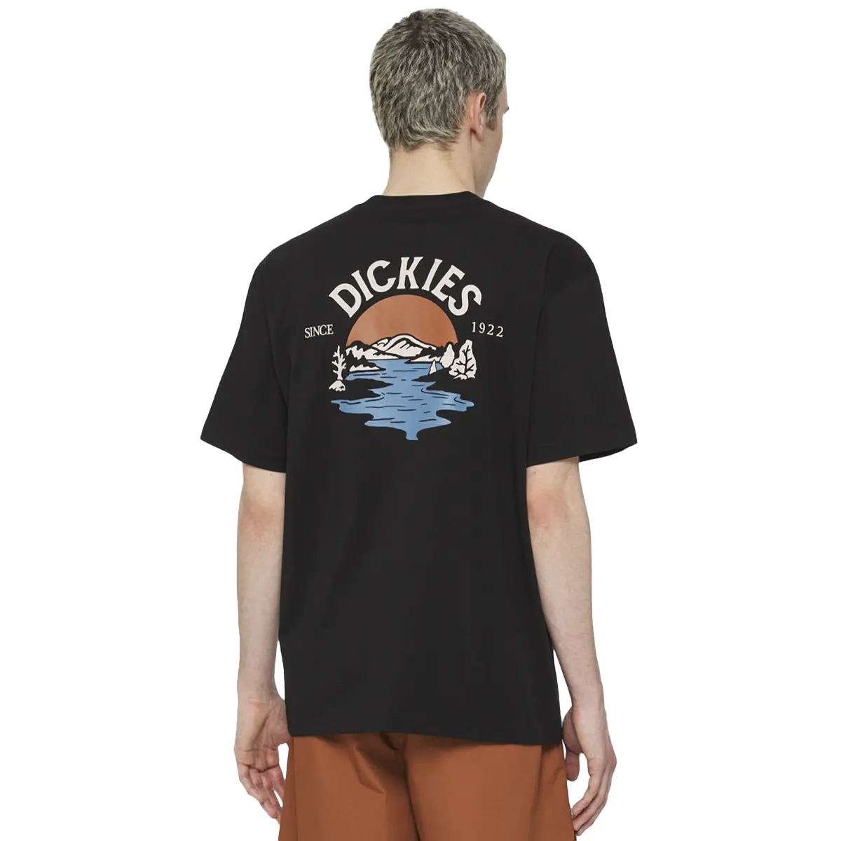 T-shirt Dickies Beach Tee SS